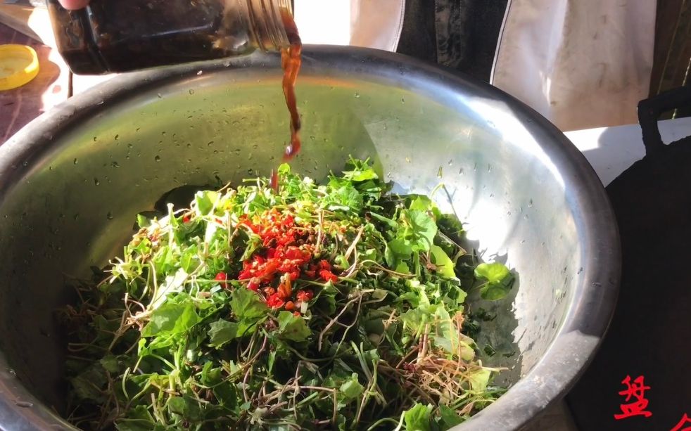 "凉拌积雪草","农村土味"网友:这东西能吃吗?