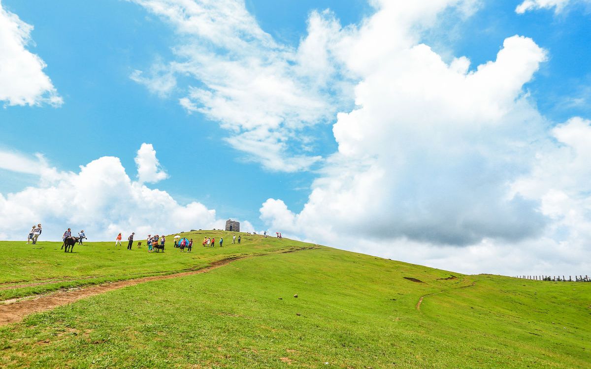 张旭芳利用希沃白板制作思维导图的方法