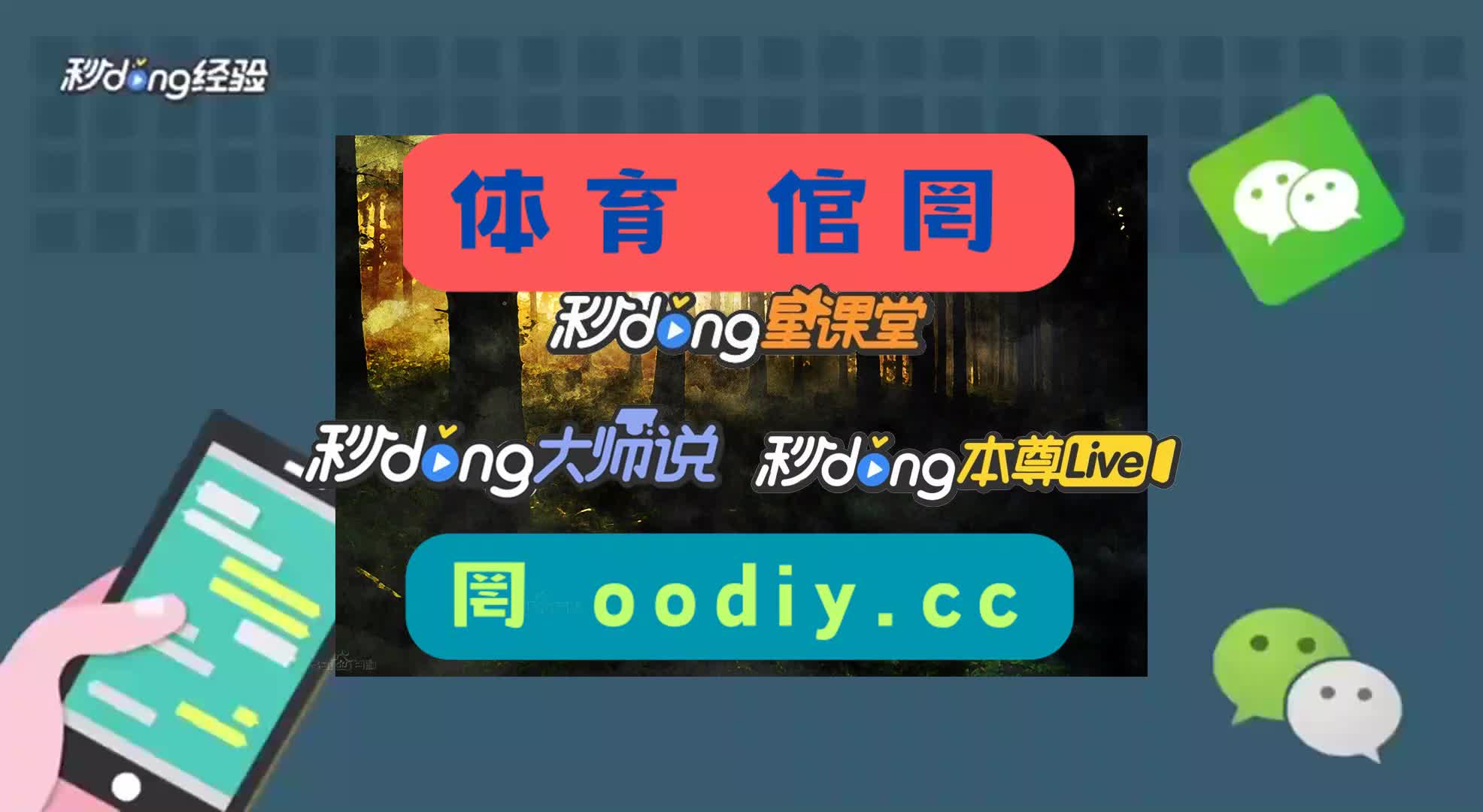 1分钟了解hg8868体育入口登录二维码