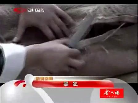 [图]四川卫视频道包装（2012）