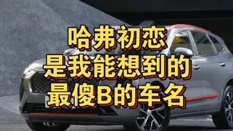 哈弗初恋，是我能想到的最傻B的名字