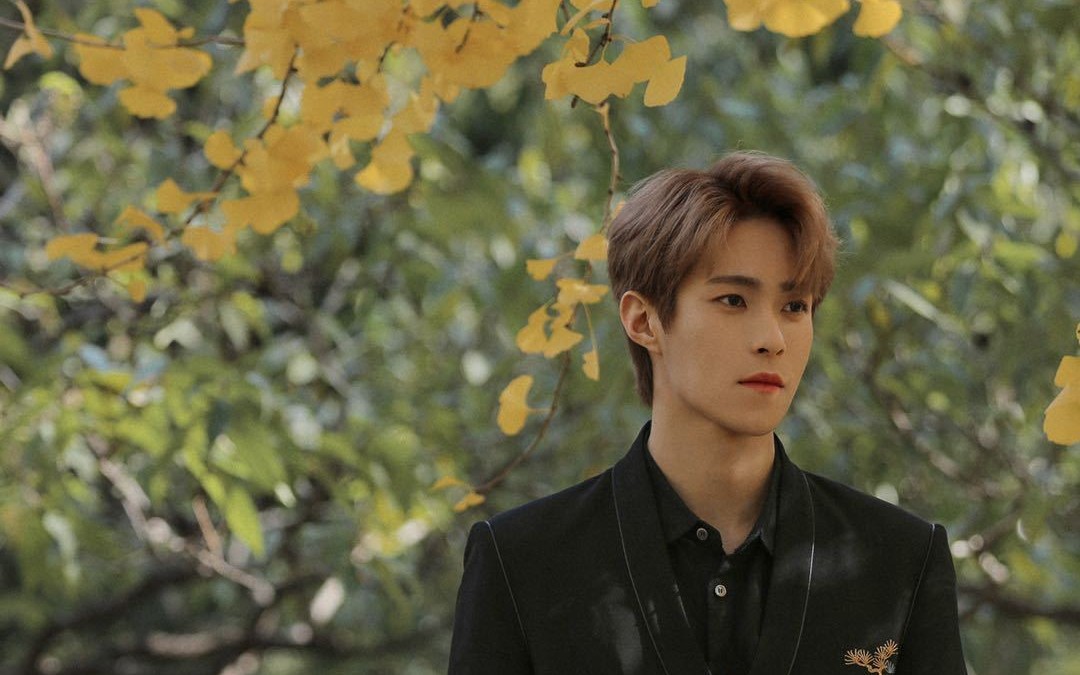 oner岳岳201028课本里的中国红楼梦中人