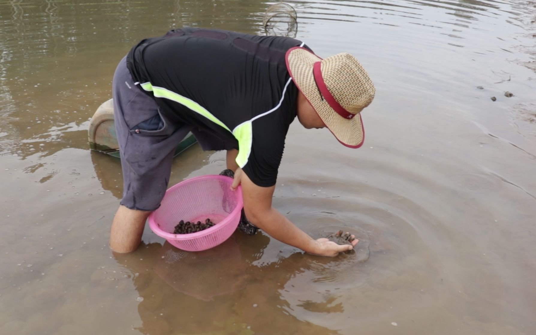 岛民小古去河边"捡田螺",一抓一大把,无意中捡到不认识的水货_哔哩