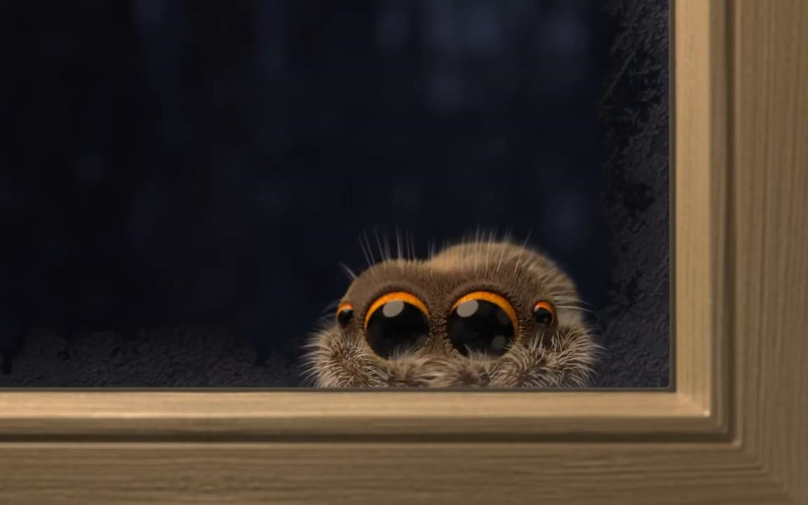 【萌物】小蜘蛛卢卡丝 2.