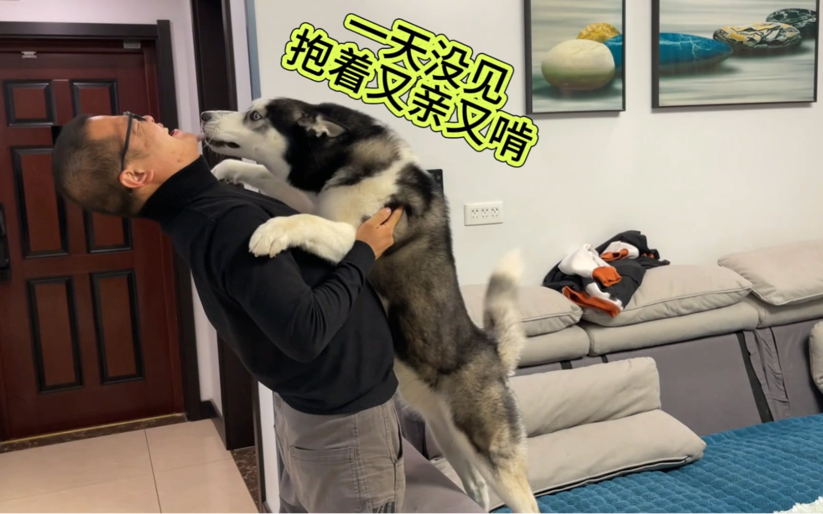 主人外出一整天再次回到家中,狗狗竟然扑进主人怀里哇哇大哭起来,场面