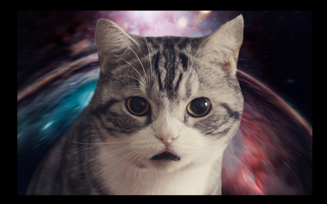 社牛小猫咩咩-卡夫卡大剧院-哔哩哔哩视频