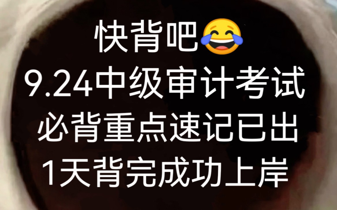 [图]绝绝子！9.24中级审计师考试重点速记已出，赶紧背起来吧！无痛听书成功上岸稳啦！！！