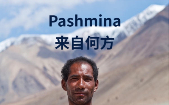 [图]Pashmina来自何方？ 举世闻名的pashmina羊绒，究竟从哪里来？是哪里的牧羊人在牧养它们？克什米尔、拉达克、羌塘的风貌，带来了天赐的礼物。