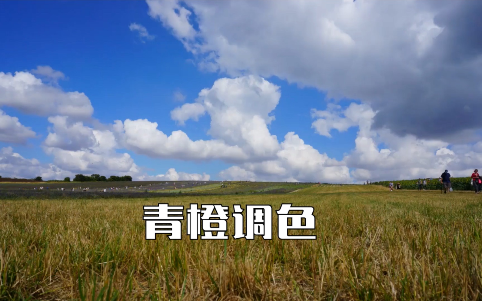 电影级青橙色调色!_哔哩哔哩_bilibili