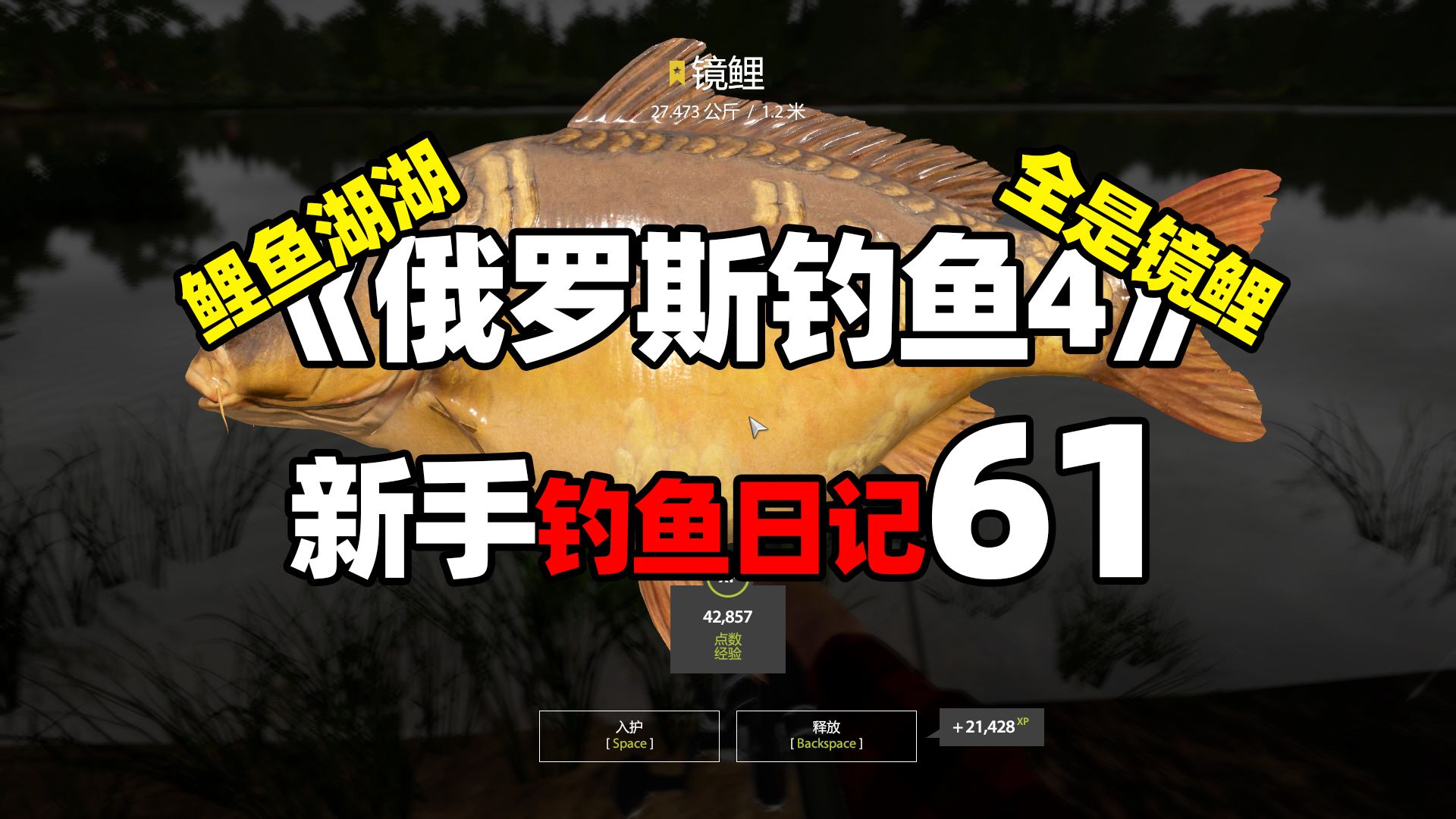 【俄罗斯钓鱼4】七宝的新手钓鱼日记61:鲤鱼湖全是镜镜镜镜镜镜镜鲤