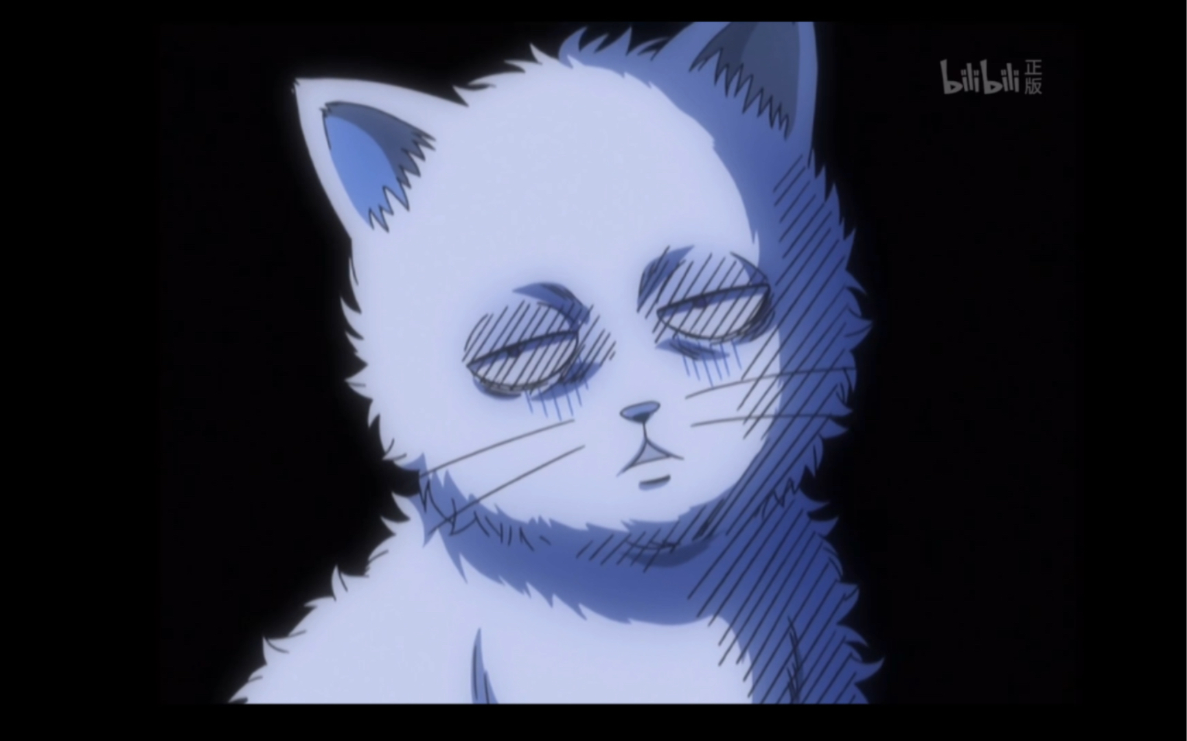 银时变猫片段