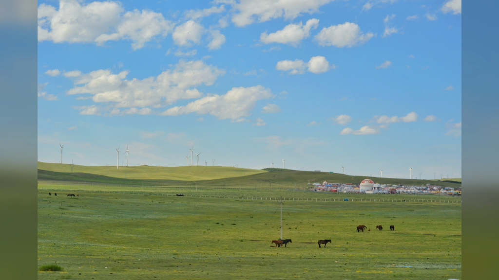 乌兰察布的夏日草原