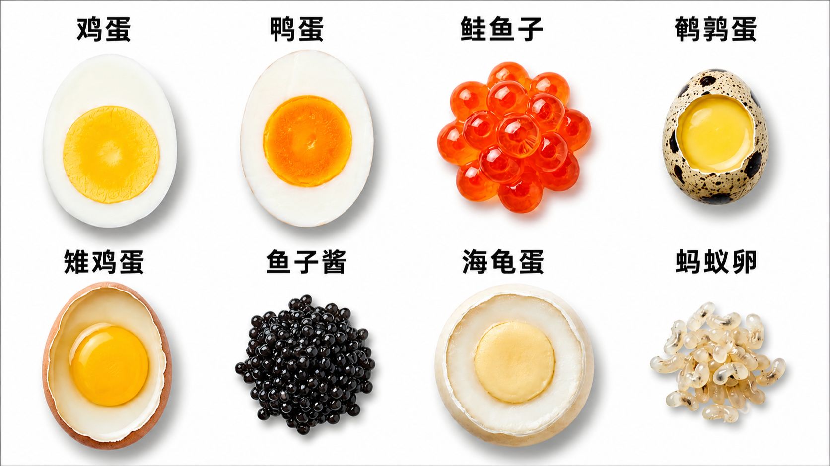 15分钟了解各种食用卵类?