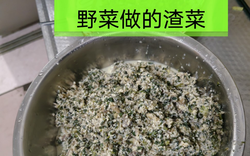 山东常见野菜“杖粒儿”(苦碟子)做的渣菜哔哩哔哩bilibili