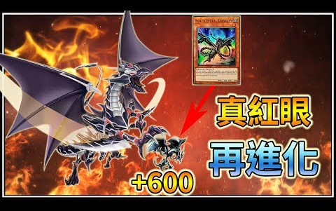 游戏王duellinks法老王生肉真红眼专属装备卡黑钢龙登