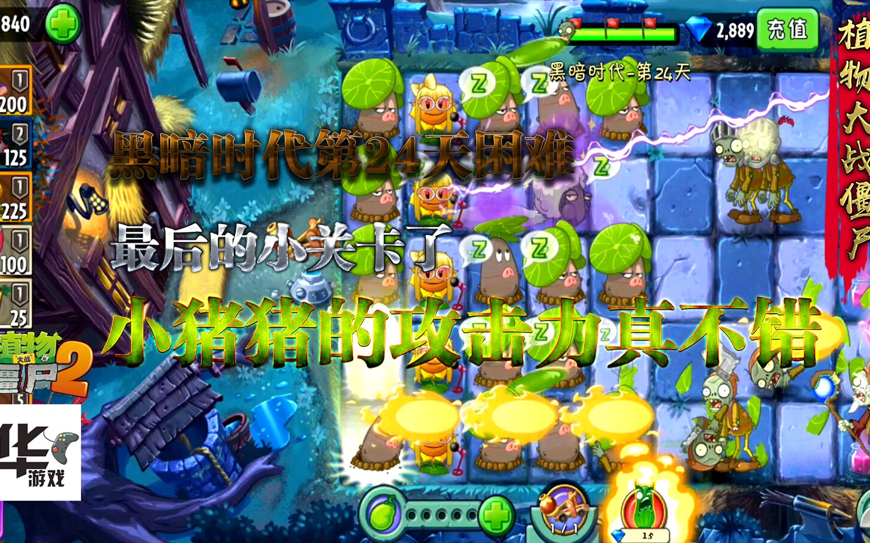 pvz2中文版:黑暗時代 第24天困難最後的小關卡 豬豬的攻擊力不錯