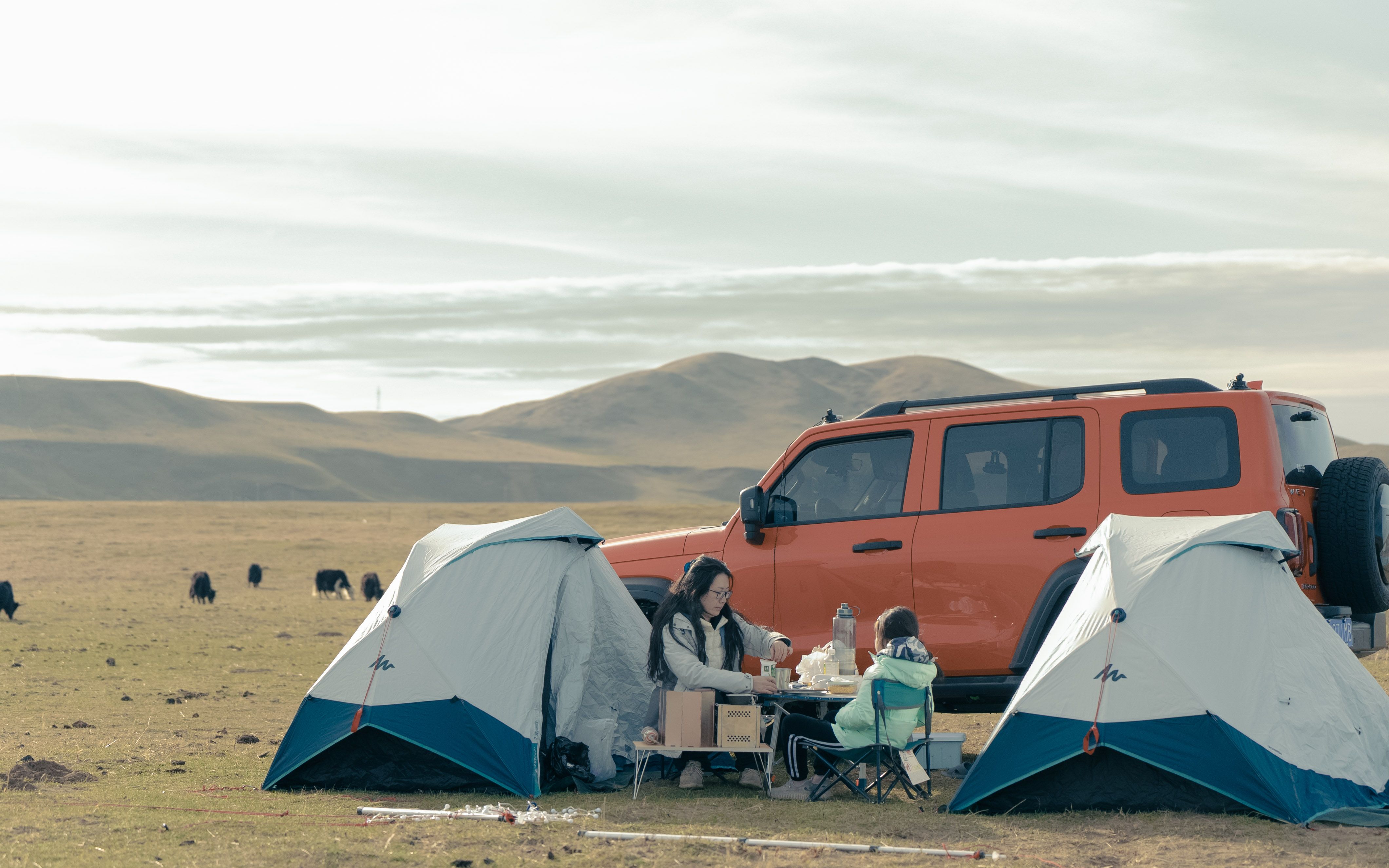 坦克300若尔盖红原自驾露营