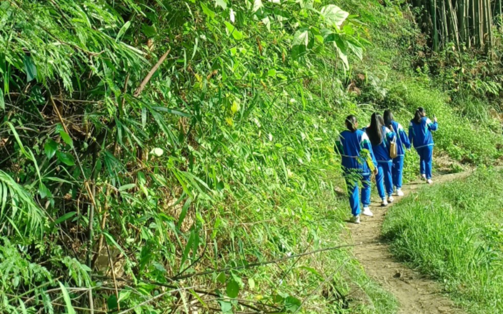 学农新旅程,田野间的诗与远方哔哩哔哩bilibili