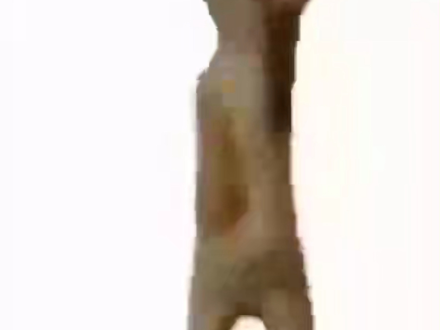 给79连网的后果：
