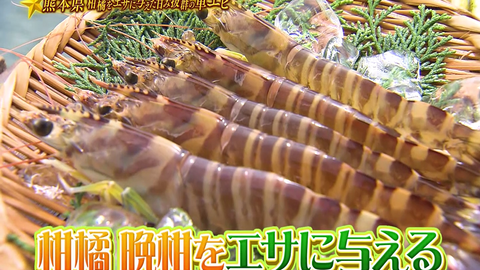 搜索 哔哩哔哩 つロ 干杯 Bilibili 搜索 哔哩哔哩 つロ 干杯 Bilibili