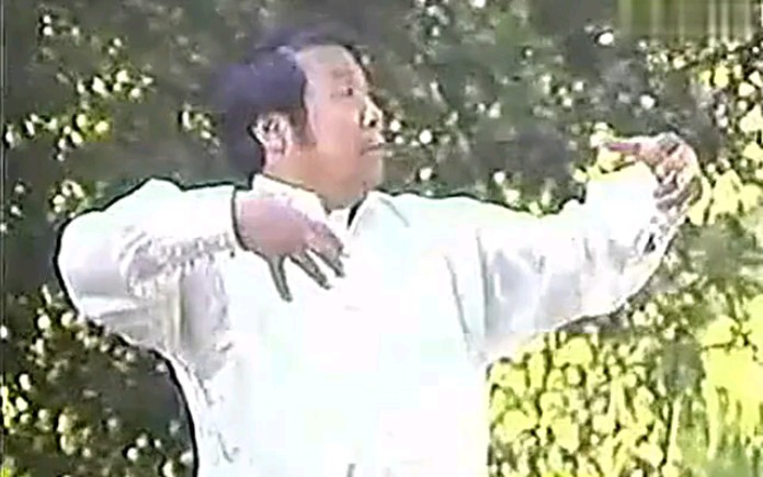 意拳(大成拳)技击桩(矛盾桩)名家集萃,守平庸,莫好奇,非常原来及平易,管他日月星球在转移,只要恒心去站立哔哩哔哩bilibili