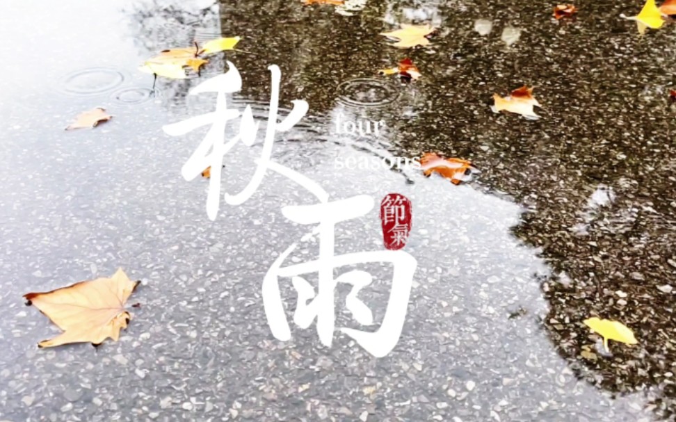 [图]【北卫】秋雨特辑