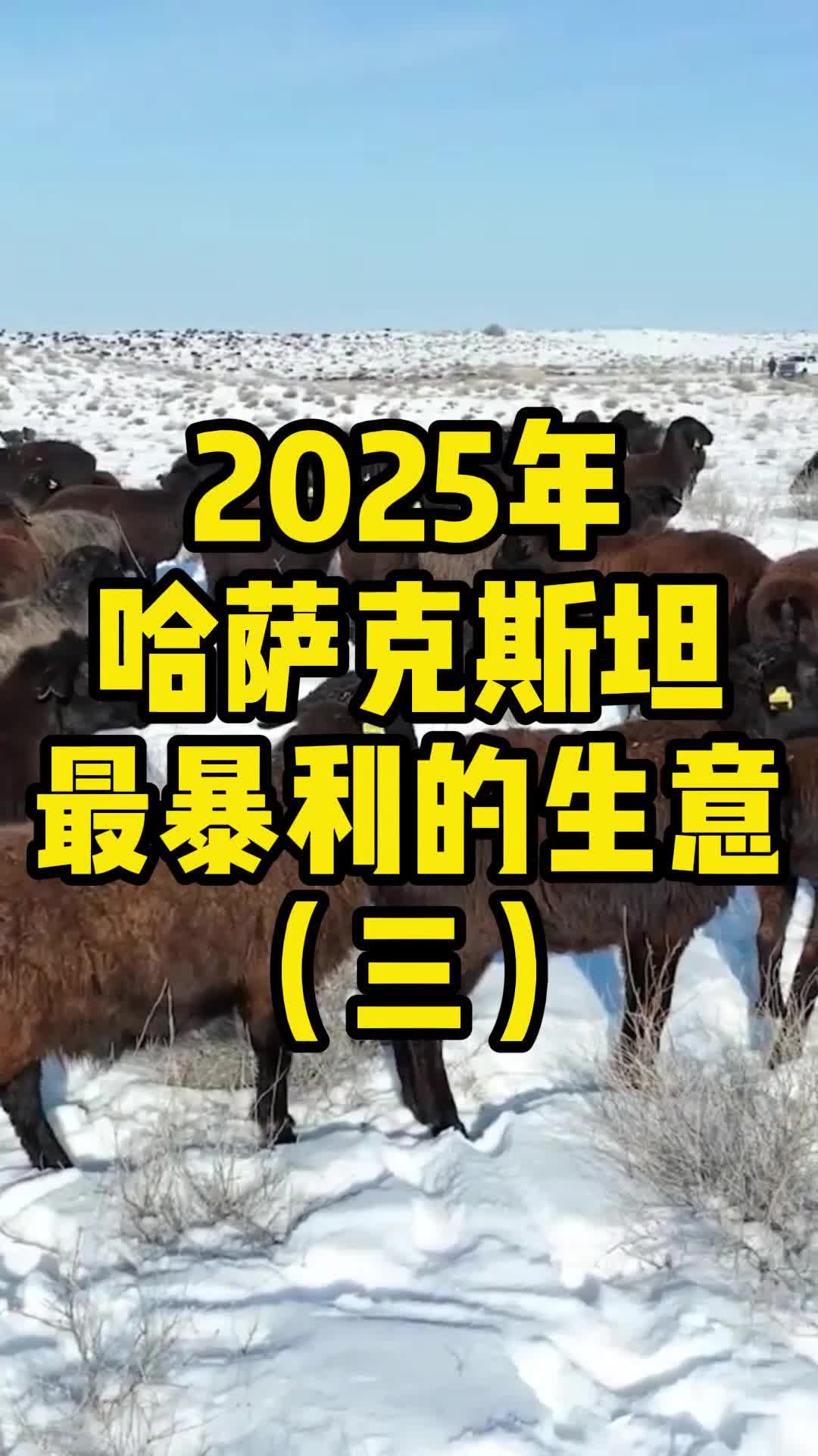 [图]2025年计划去哈萨克斯坦做生意的老板们看过来！