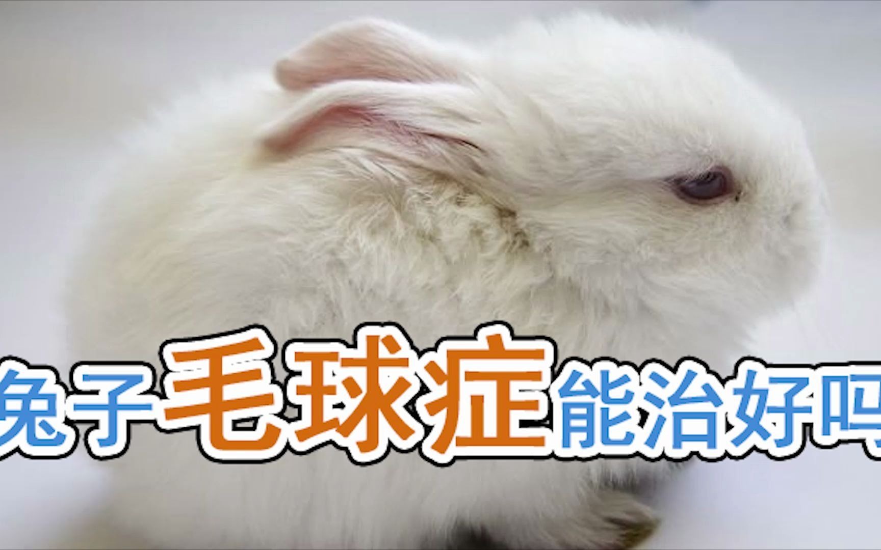 兔子毛球症能治好吗