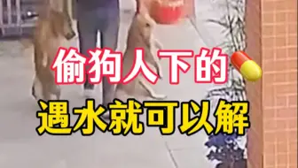 偷狗人下的药，遇水就可以破解