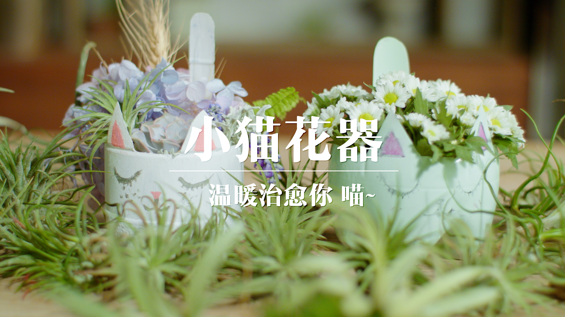 【焰火花园#50】萌系猫咪植物花盆DIY哔哩哔哩bilibili