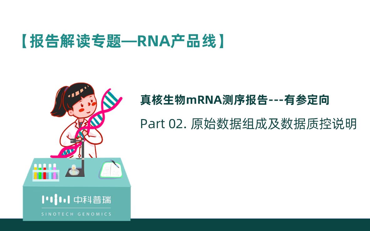 【真核生物mRNA测序报告解读】Part02原始数据组成及数据质控说明哔哩哔哩bilibili