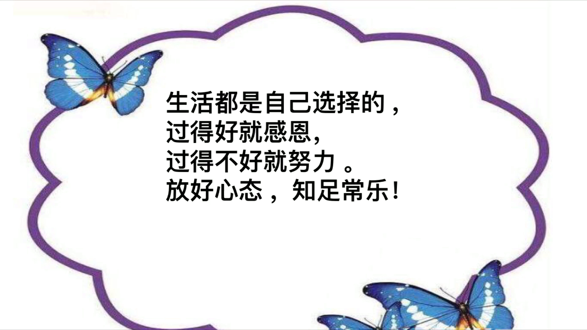 粉象生活和淘集集過得不好就努力,放好心態知足常樂