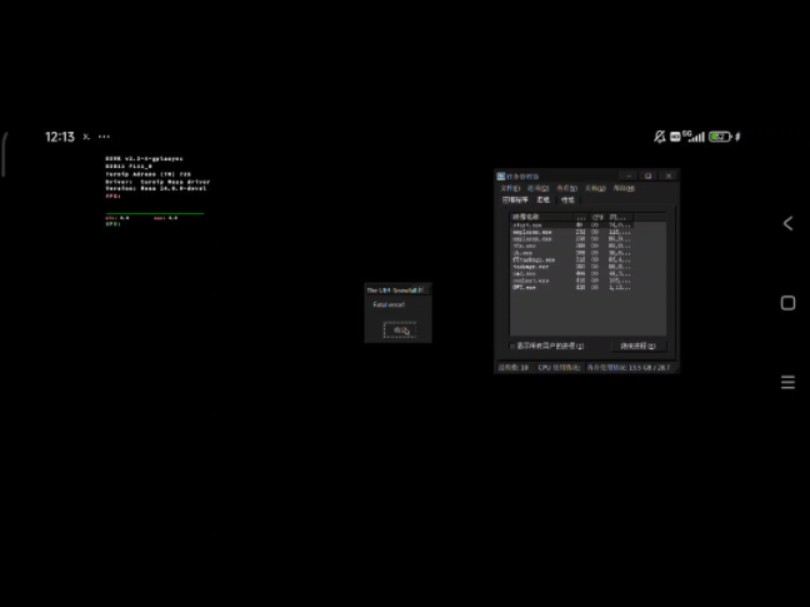 mobox等pc模拟器dx12游戏如何强制dx11运行,记得看简介单机游戏热门视频