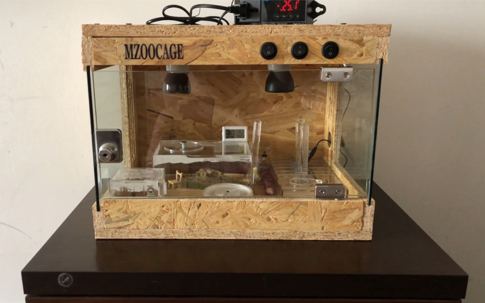 保温箱到了把沙地收获蚁希伯来收获蚁巴巴特斯石竹蚁10后工匠收获蚁粽