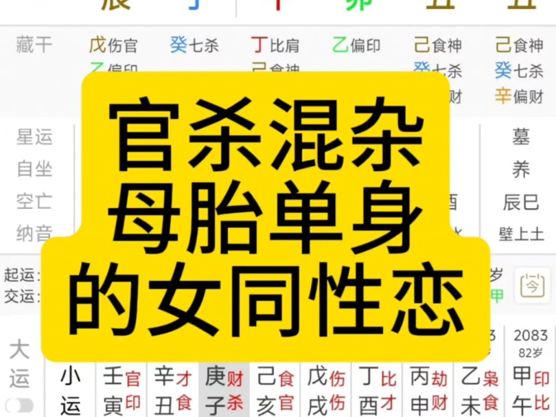 官杀混杂!母胎单身的女同性恋!(关注一键三连简单看)哔哩哔哩bilibili