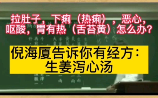 拉肚子,下痢(热痢),恶心,呕酸,胃有热(舌苔黄)怎么办?倪海厦告诉你有经方:生姜泻心汤哔哩哔哩bilibili