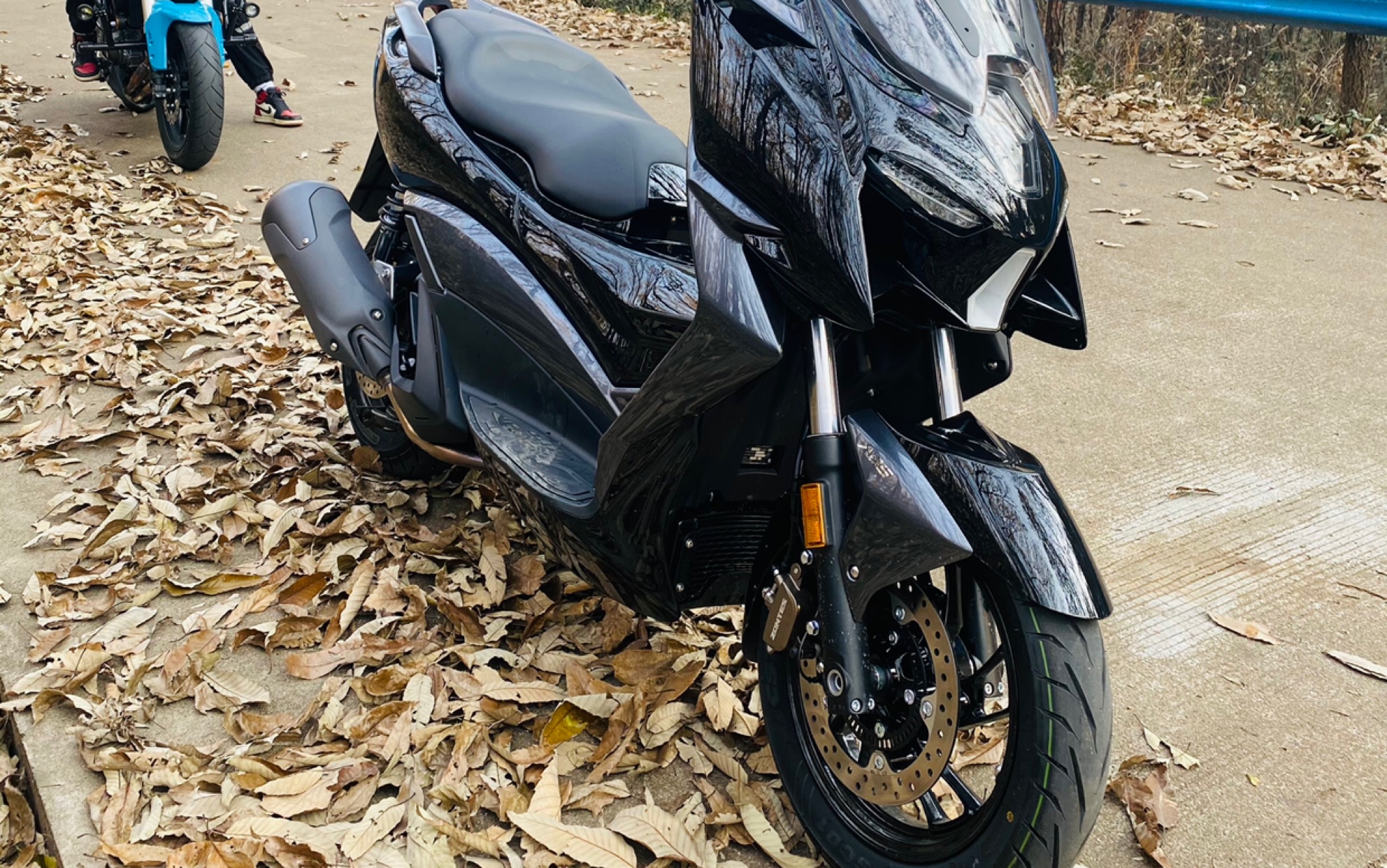 升仕310m踏板全景展示