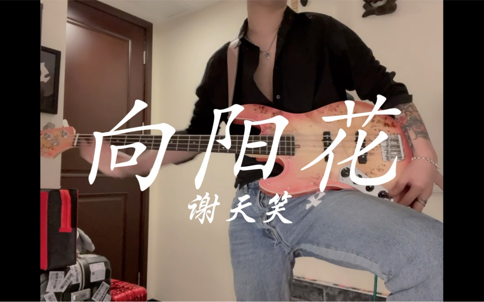 "向阳花,你会不会再继续开花" 谢天笑 《向阳花》 basscover_哔哩哔哩