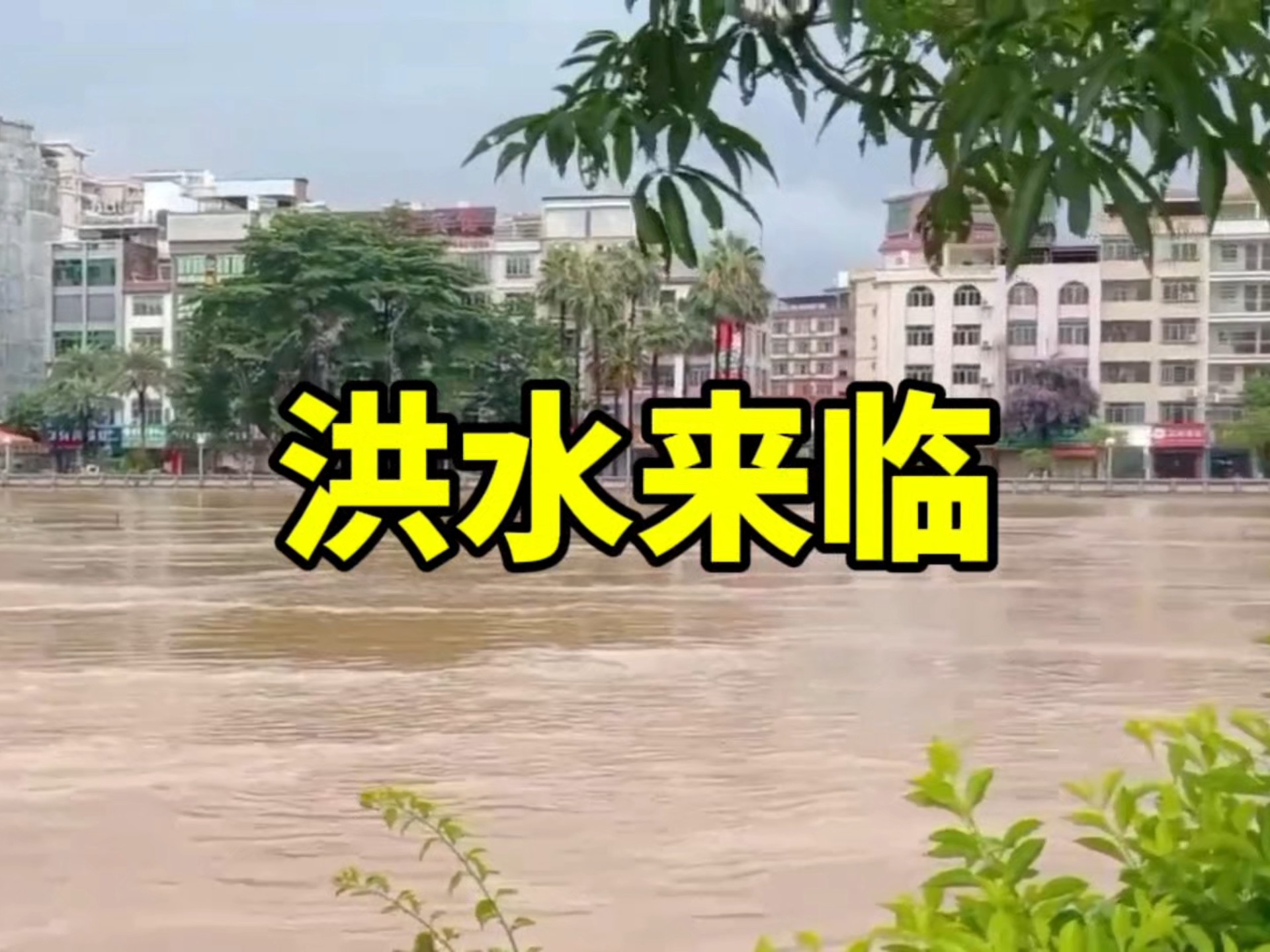 拉响防洪警报！广东肇庆怀集洪水过境现场画面【6.15日】
