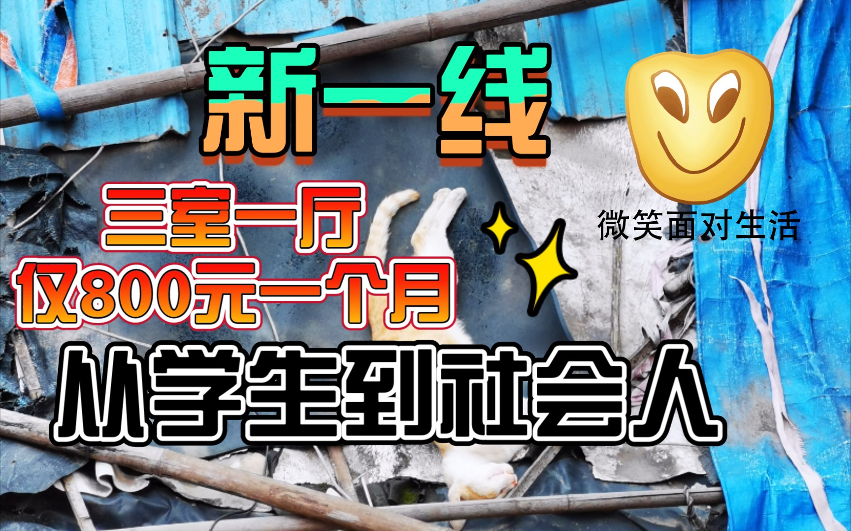 新一线租房,仅800元拿下三室一厅,从学生到打工人.哔哩哔哩bilibili