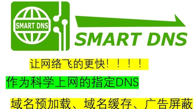 smartdns B站