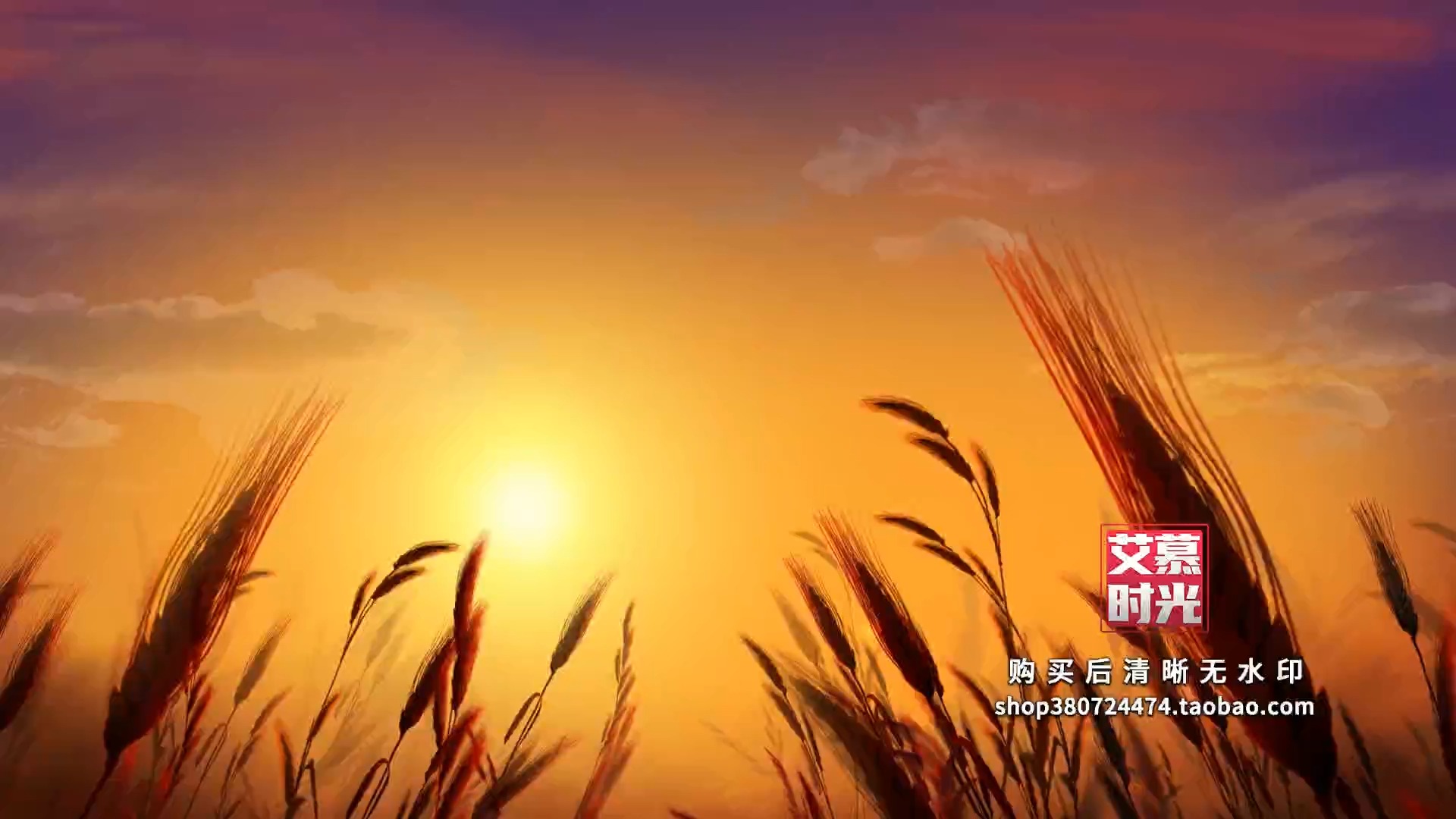 am677 红高粱 九儿舞蹈配乐诗朗诵演讲学校晚会演出led大屏背景视频