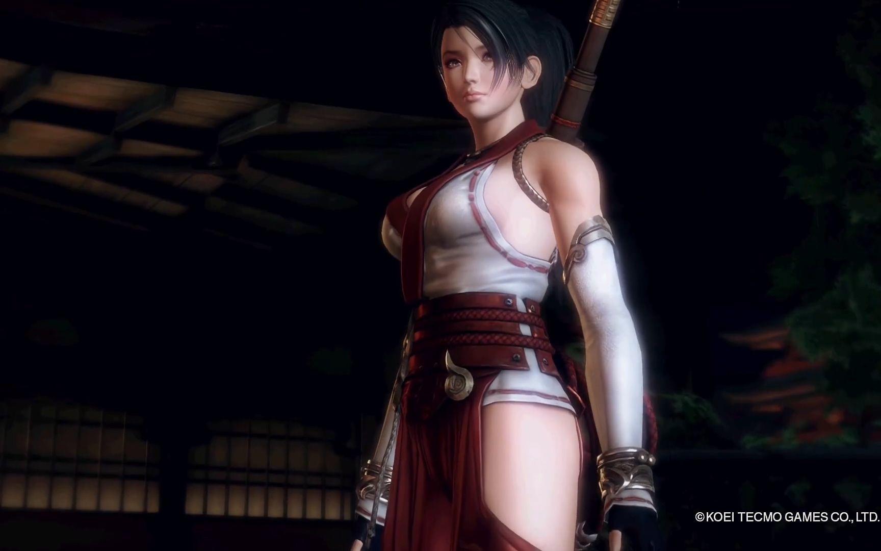 《忍者龙剑传:大师收藏版》实机宣传片 6月10日发售