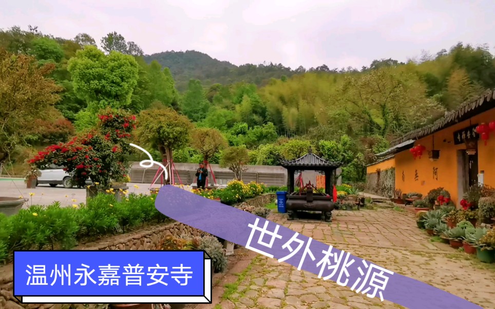 温州永嘉普安寺,住着一位被誉为中国最帅的大师,多少人慕名而来拜访他哔哩哔哩bilibili