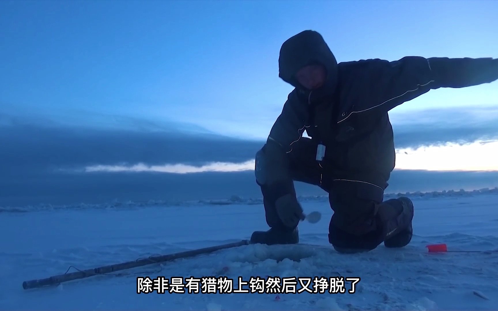 一条江鳕十几斤 罕见的北极茴更是一条接一条 这就是远东无人区的野钓资源哔哩哔哩bilibili