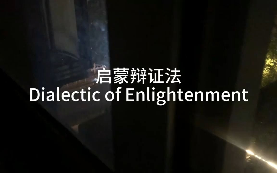 启蒙辩证法 Dialectic of Enlightenment哔哩哔哩bilibili