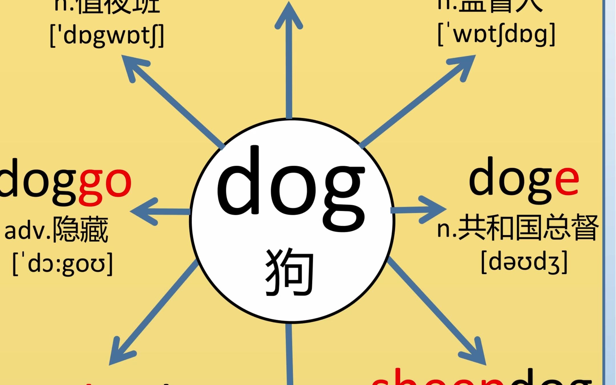 关于狗狗的单词,你认识几个?哔哩哔哩bilibili