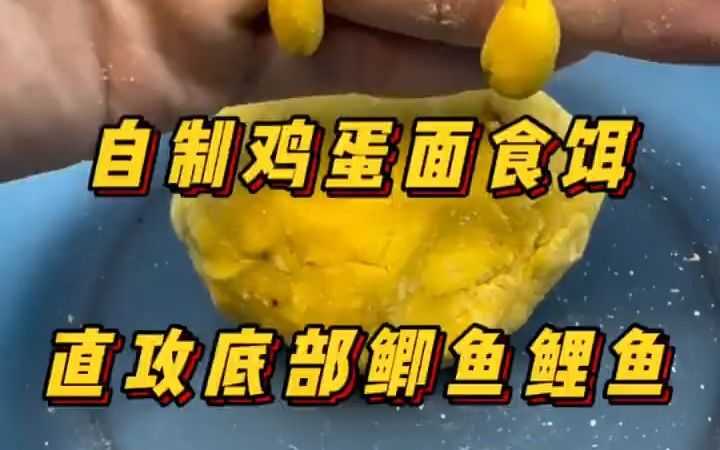 自制钓鱼饵料哔哩哔哩bilibili