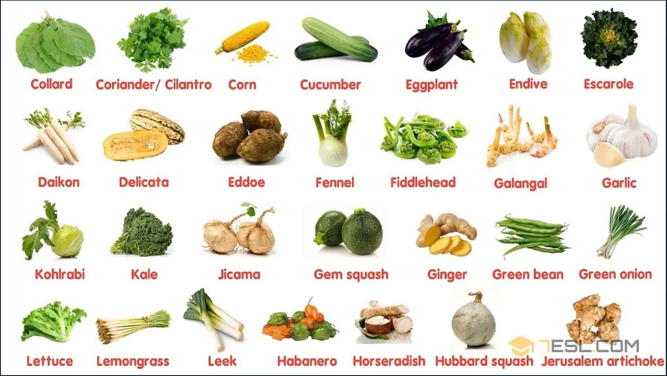 【7esl】100个蔬菜单词集合
