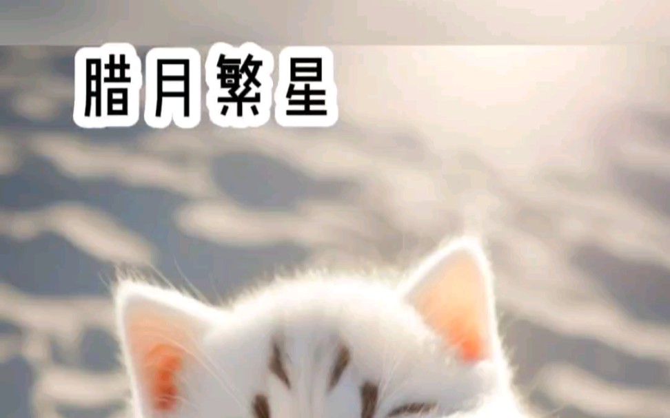 铭《腊月繁星》热门小说哔哩哔哩bilibili